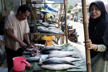 FOTO Para Pedagang Ikan Bandeng Bermunculan Jelang Imlek