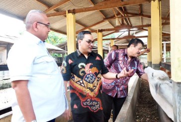Blusukan ke Sentra Peternakan Sapi Lampung, LPDB Jaring Calon Mitra