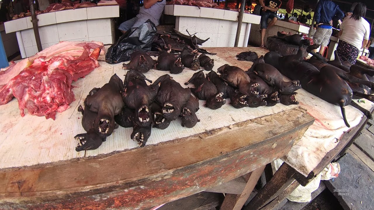 Wabah Corona, Pasar Tomohon Tak Lagi Menjual Kelelawar dan Ular