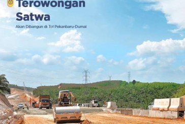 Progres Pembangunan Terowongan Perlintasan Gajah Capai 87,74%