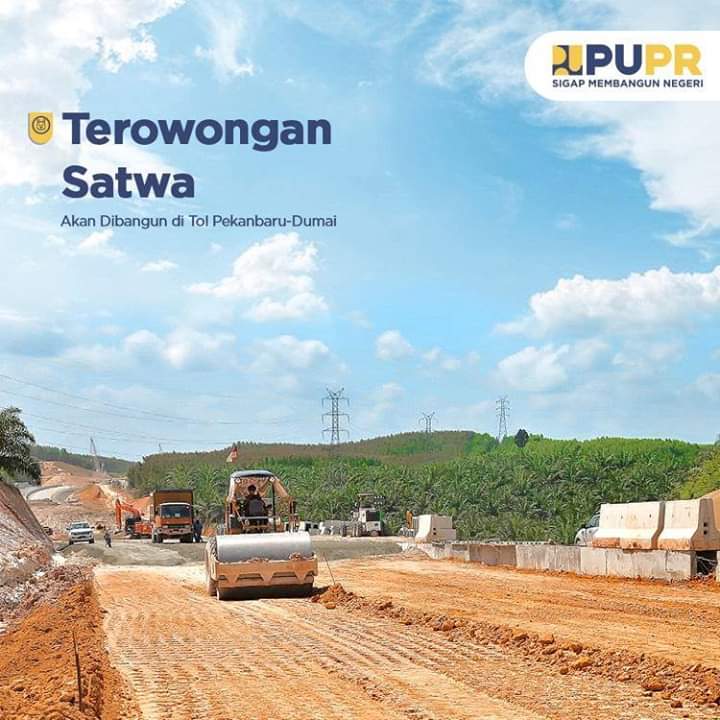 Progres Pembangunan Terowongan Perlintasan Gajah Capai 87,74%