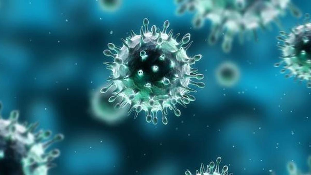 Virus Hanya Bisa Dikalahkan Antibodi