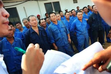 Di Indonesia Jutaan Orang Kena PHK, 500 TKA China Malah Dipekerjakan