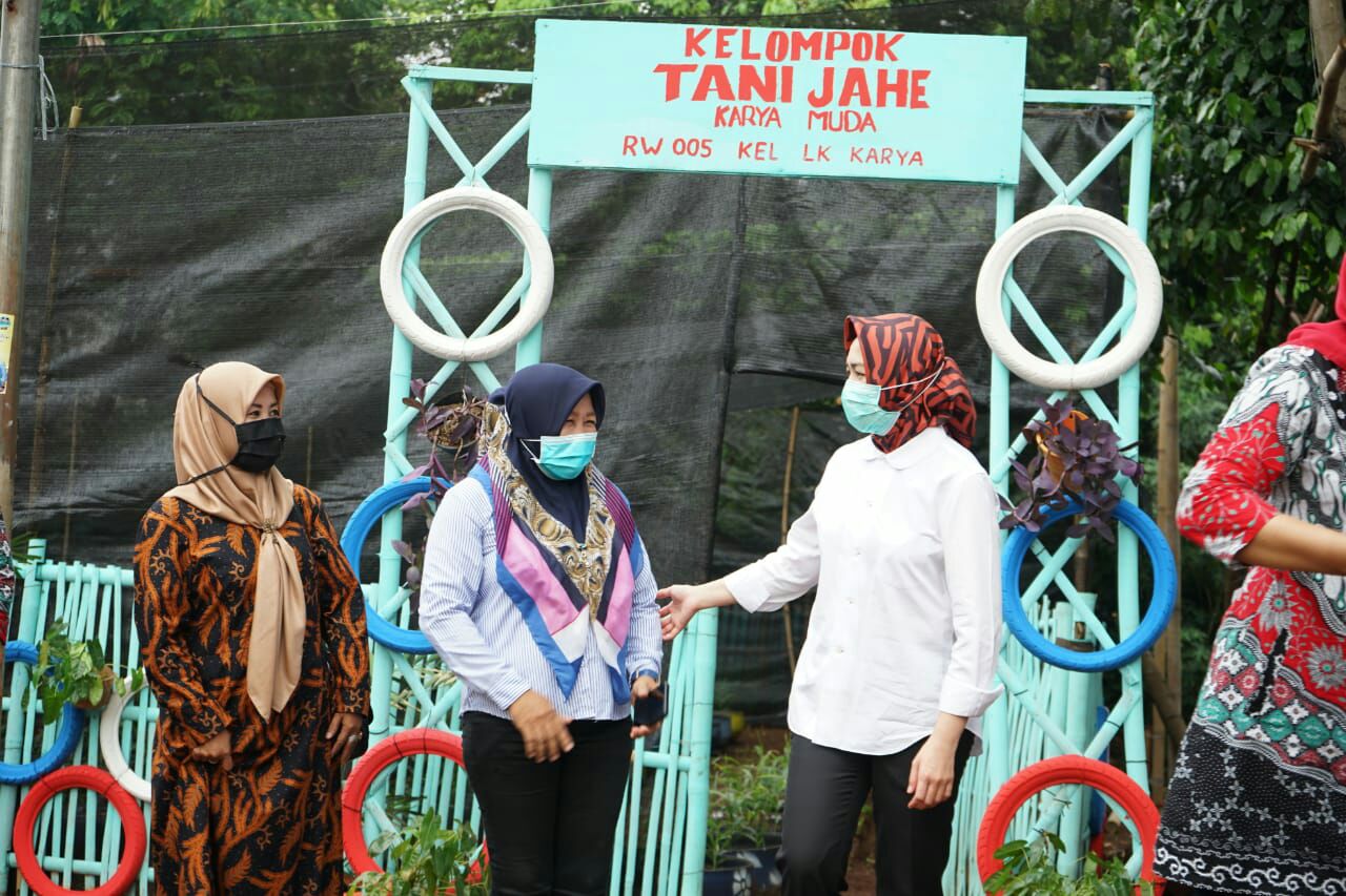 Wali Kota Tangsel Apresiasi Kinerja Kelompok Petani Jahe Karya Muda