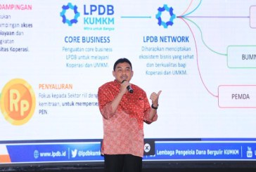 Berkat Transformasi dan Digitalisasi, LPDB-KUMKM Sukses Menyalurkan Dana Bergulir 2020