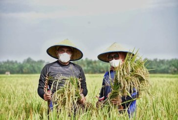 Kunjungi Lokasi Agrowisata Paloh Naga, Gubernur Sumut: Desa Dibangun, Menata Kota Akan Mudah