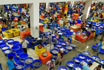 Harga Ikan Menanjak, Perum Perindo Prediksikan Stabil di Kuartal II 2021