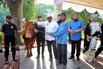 Jelang Ramadan Pemerintah Impor Daging, LaNyalla Ingatkan Pasar Tak Naikkan Harga