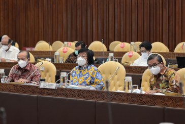 Komisi IV DPR RI Soroti Dana Alokasi Khusus Bidang Lingkungan dan Kehutanan TA 2022
