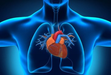 Penyempitan Katup Aorta Jantung Dapat Akibatkan Kematian