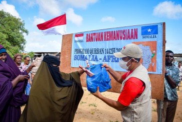 Eko Sulistio Distribusikan 610 Hewan Kurban untuk Muslim di Somalia