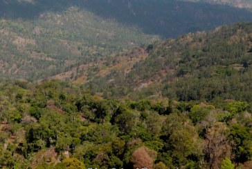 Langkah Kementerian ATR/BPN Mengkaji Sumber TORA dari Pelepasan Kawasan Hutan
