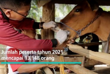 Lewati 6 Bulan Masa Seleksi, Ini Generasi Muda yang Jadi Finalis 12th SATU Indonesia Awards 2021