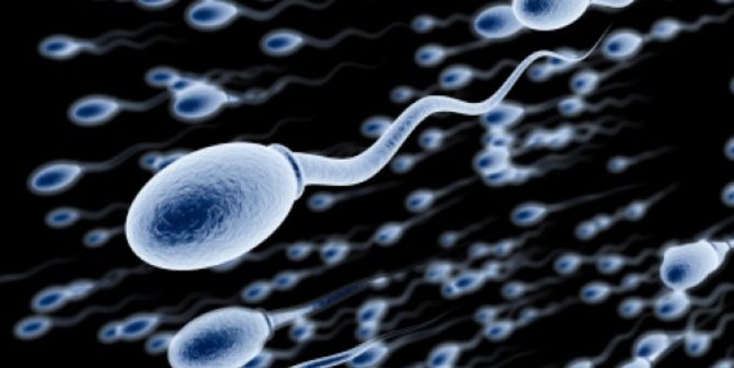Merokok Bisa Turunkan Kualitas Sperma Pria