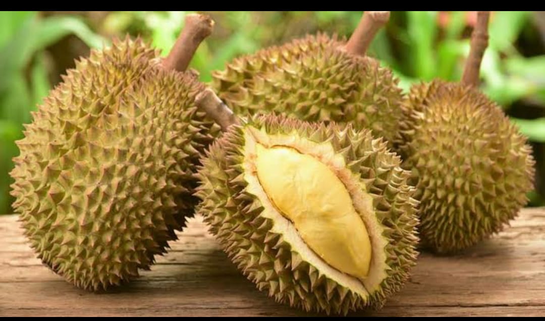 Pengidap Diabetes Dilarang Makan Durian?!