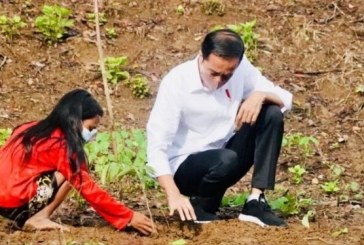 Jokowi Bersama Masyarakat Tanam Pohon di Kawasan Hutan Gunung Pepe