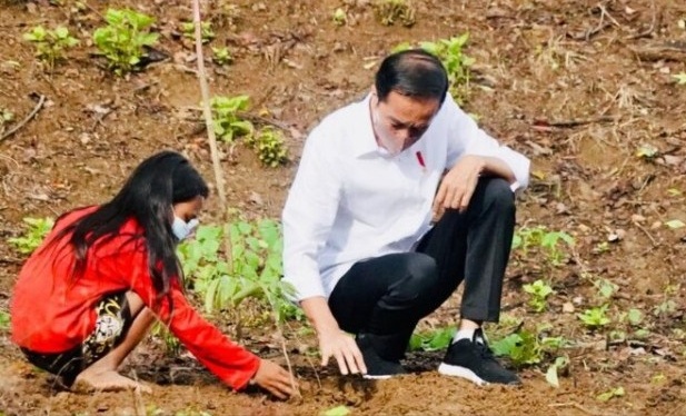 Jokowi Bersama Masyarakat Tanam Pohon di Kawasan Hutan Gunung Pepe