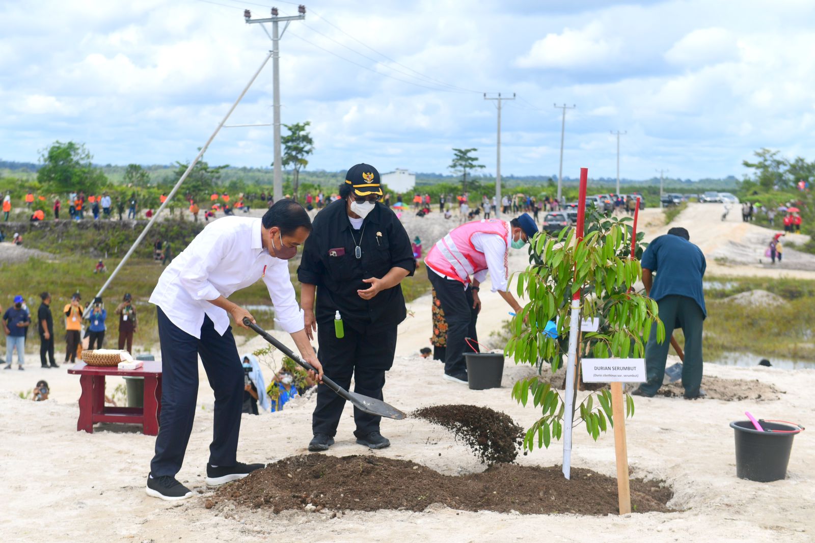 Bersama Masyarakat, Presiden Jokowi Tanam Pohon di Area Bekas Tambang