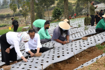 Jokowi Berharap Produktivitas dan Pendapatan Petani Meningkat
