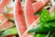 Jangan Dibuang! Makan Kulit Semangka Bagus untuk Kesehatan dan Kecantikan