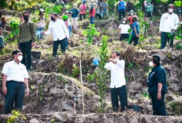 Dukung Rehabilitasi DTA Danau Toba, Presiden Tanam Pohon di Desa Simangulampe