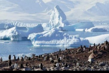 Gawat! Gunung Es Antartika Seluas Kota Roma Runtuh