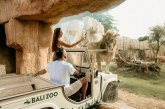 Jetaway dan Bali Zoo Kolaborasi Hadirkan Program Promosi Eksklusif
