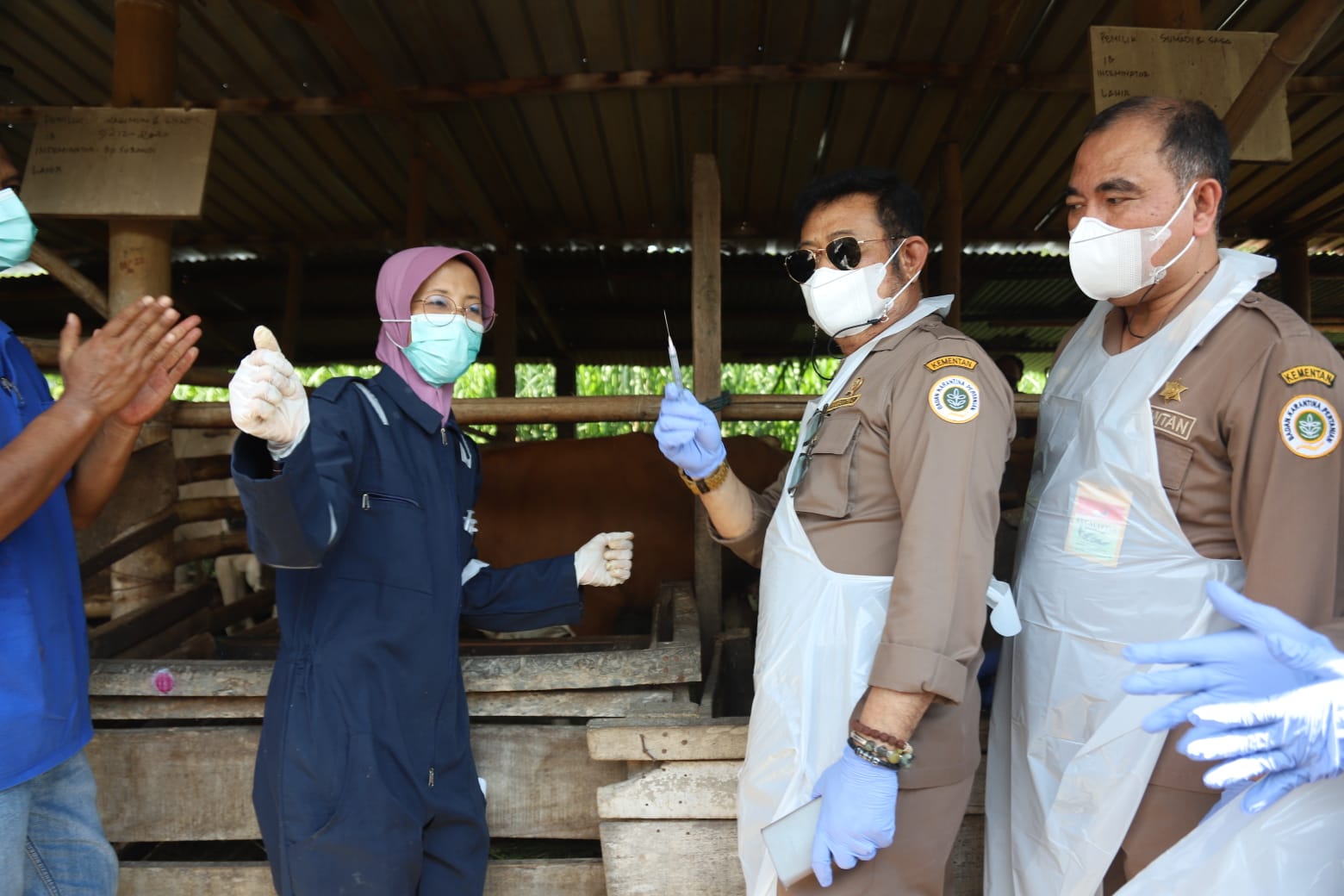 Mentan SYL Vaksinasi PMK Perdana di Jawa Tengah