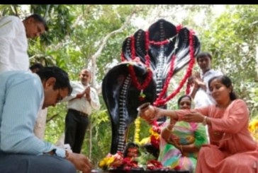 Umat Hindu di Berbagai Penjuru India Rayakan Festival Ular