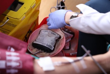 Kementerian PANRB Gandeng PMI Adakan Donor Darah