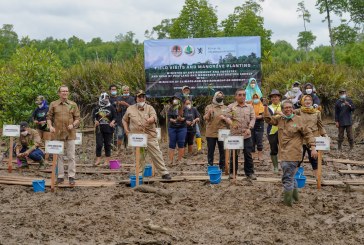 Menteri Siti Nurbaya Ajak Menteri ILH Norwegia ke Salah Satu Titik Rehabilitasi Mangrove
