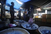 FOTO Harga Ikan Laut di TPI Cituis Naik Akibat Cuaca Ekstrem