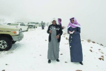 Aneh! Salju Turun di Arab Saudi