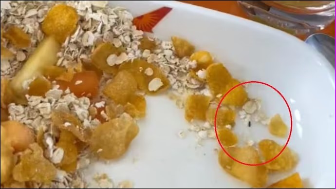 Penumpang Air India Temukan Serangga dalam Makanan Saat Pesawat Terbang