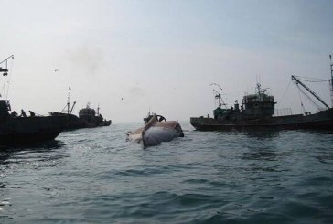 Kapal Penangkap Ikan China Terbalik, 39 Orang Hilang