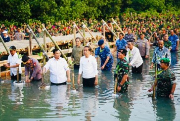 Terluas di Dunia, Jokowi: Hutan Mangrove Perlu Kita Rawat