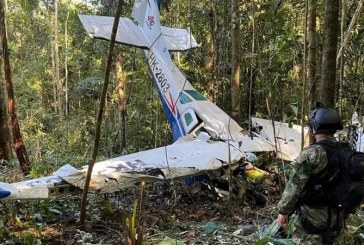 Buah dan Jejak Kaki bikin Hidup Empat Anak yang Tersesat di Hutan Setelah Kecelakaan Pesawat