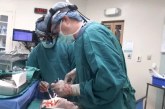 Temuan Transplantasi, Jantung Dihidupkan Kembali Bekerja dengan Baik