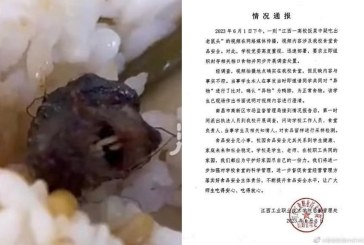 Benda Aneh Dalam Makanan Siswa di China Ternyata Kepala Tikus
