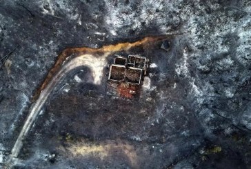 18 Mayat Ditemukan di Hutan Yunani yang Kebakaran