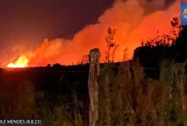 Lebih dari 800 Orang Hilang Akibat Kebakaran Hutan di Maui