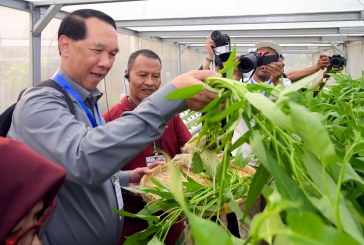 Delegasi Laos Belajar Pengelolaan Kebun Hidroponik di Perumahan Depok Maharaja