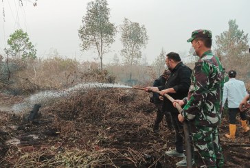 Selamatkan Sawit, Kementan Terjun Padamkan Kebakaran Lahan di Kalsel