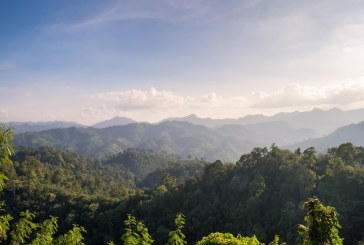 UNESCO Nyatakan Hutan Hujan Tropis Sumatra Sudah 12 Tahun dalam Bahaya   