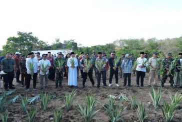 Pesantren As’adiyah Siapkan Lahan 100 Hektare Dukung Pangan Sulsel