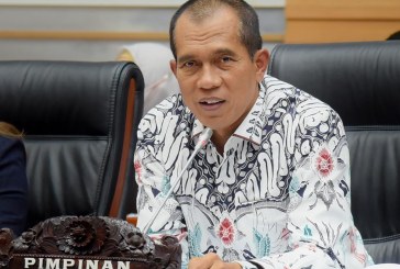 Soroti Kasus Penembakan KKB Papua, Kharis Dorong TNI-Polri Lakukan Tindakan Tegas!