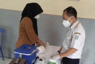 Selama 2023, Enam Ribu Lebih Hewan di Jakarta Utara Terima Vaksin Anti-rabies