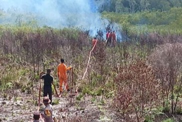 Kebakaran Lahan Terjadi di Natuna, Sekitar 20 Hektare Ludes Terbakar