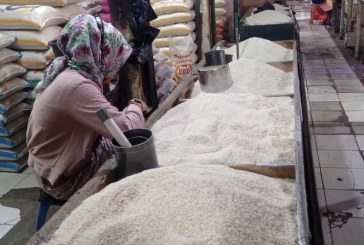 Penuhi Kebutuhan Pangan, Indonesia akan Impor 22.500 Ton Beras Jelang Idul Fitri 2024