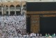 Catat! Ini Tips Sehat bagi Jemaah Haji di Tanah Suci